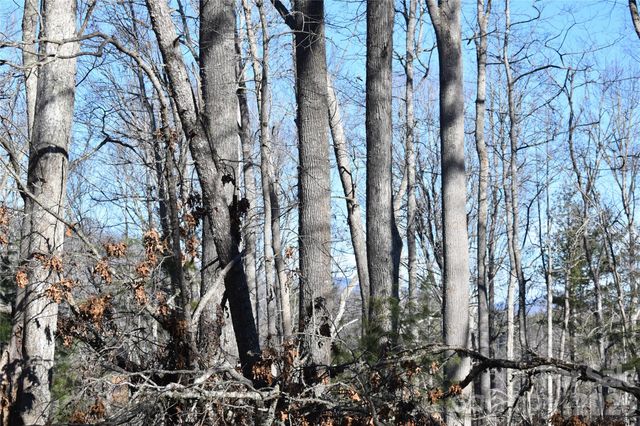 448 Sweetwater Road, Green Mountain, NC 28740