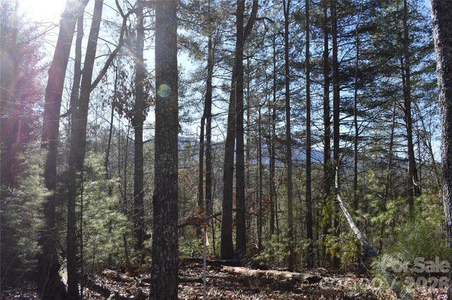 448 Sweetwater Road, Green Mountain, NC 28740