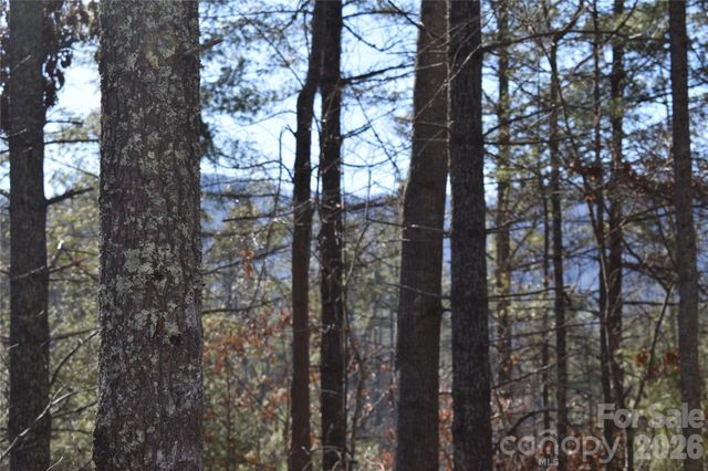 448 Sweetwater Road, Green Mountain, NC 28740