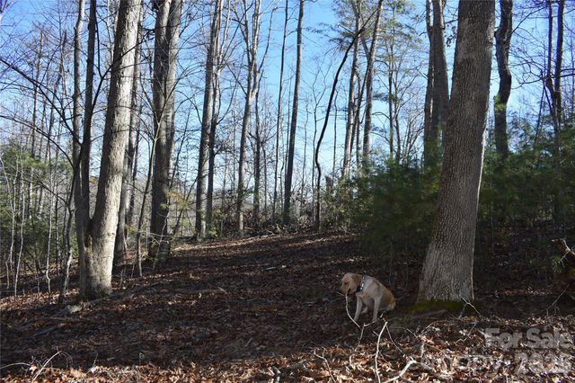 448 Sweetwater Road, Green Mountain, NC 28740