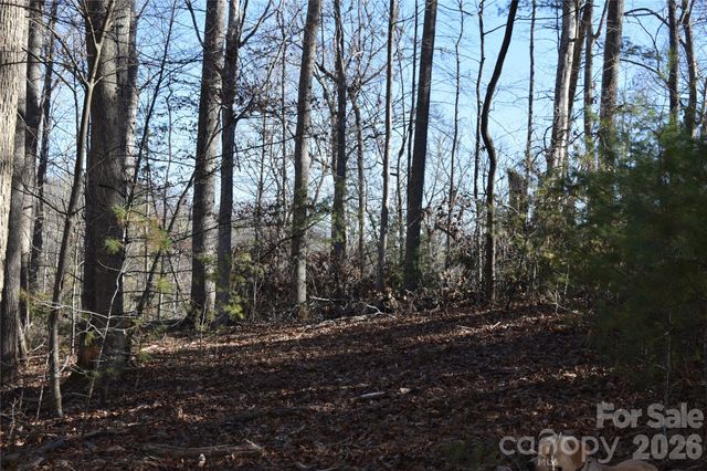 448 Sweetwater Road, Green Mountain, NC 28740