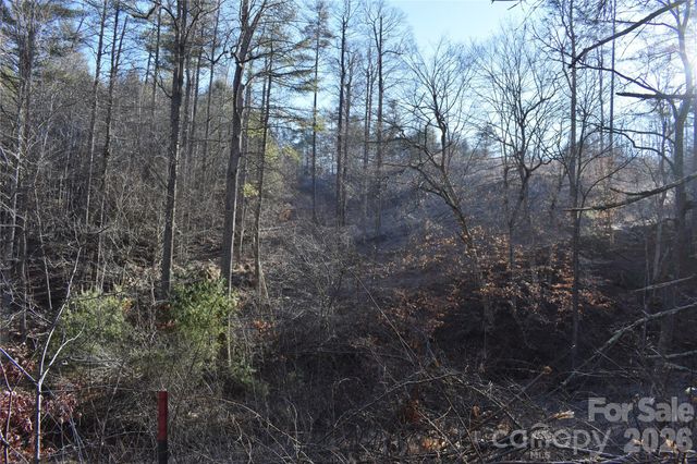 448 Sweetwater Road, Green Mountain, NC 28740