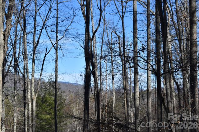 448 Sweetwater Road, Green Mountain, NC 28740
