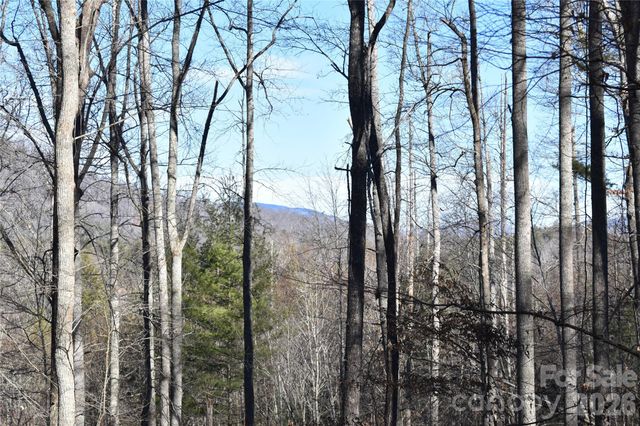 448 Sweetwater Road, Green Mountain, NC 28740