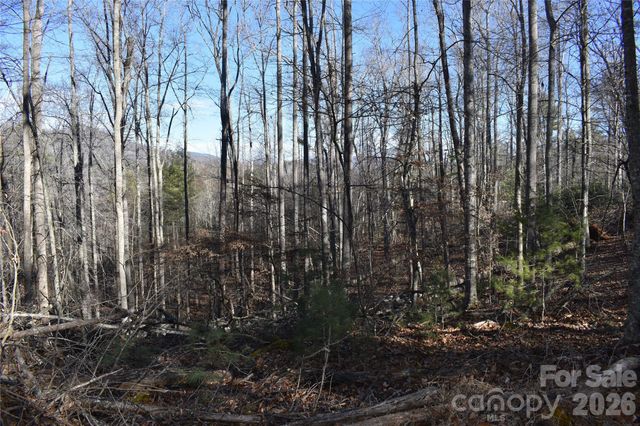 448 Sweetwater Road, Green Mountain, NC 28740