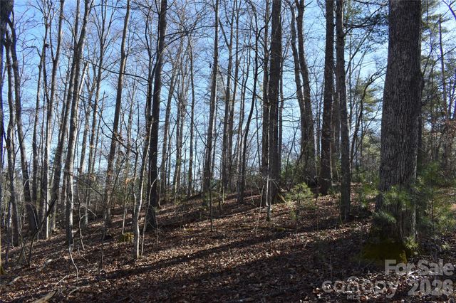 448 Sweetwater Road, Green Mountain, NC 28740