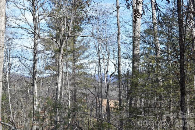 448 Sweetwater Road, Green Mountain, NC 28740