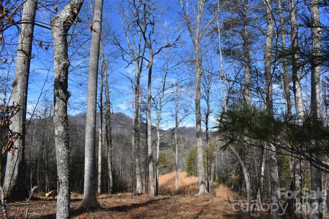 448 Sweetwater Road, Green Mountain, NC 28740