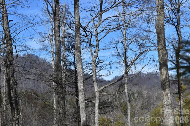 448 Sweetwater Road, Green Mountain, NC 28740