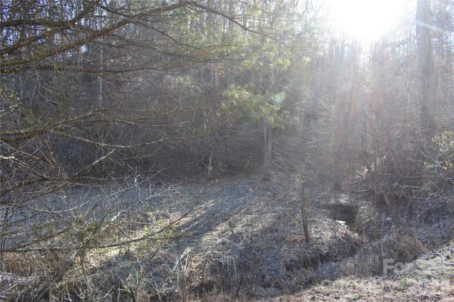 448 Sweetwater Road, Green Mountain, NC 28740