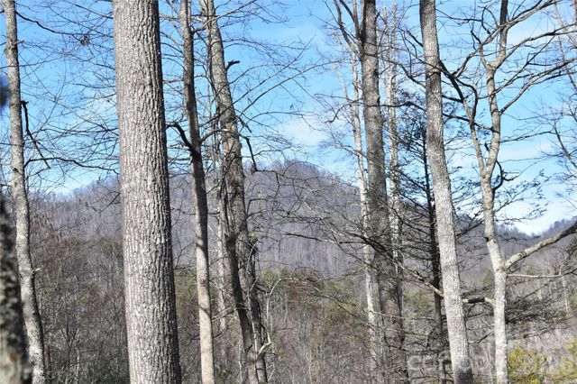 448 Sweetwater Road, Green Mountain, NC 28740