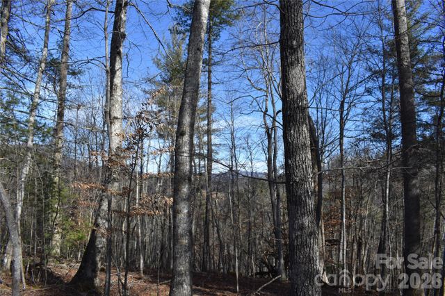 448 Sweetwater Road, Green Mountain, NC 28740