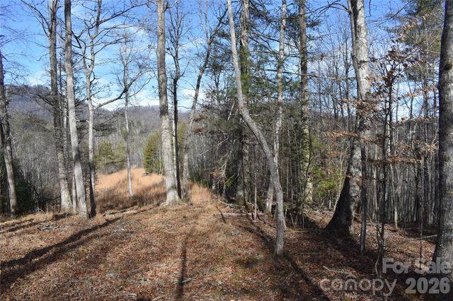 448 Sweetwater Road, Green Mountain, NC 28740