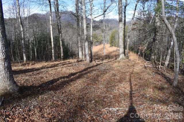 448 Sweetwater Road, Green Mountain, NC 28740