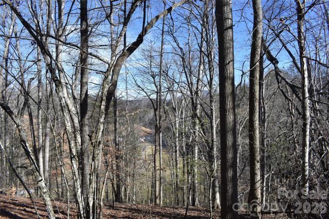448 Sweetwater Road, Green Mountain, NC 28740