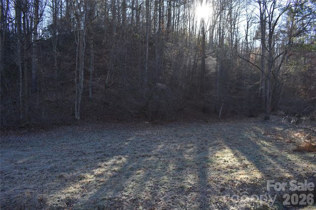 448 Sweetwater Road, Green Mountain, NC 28740