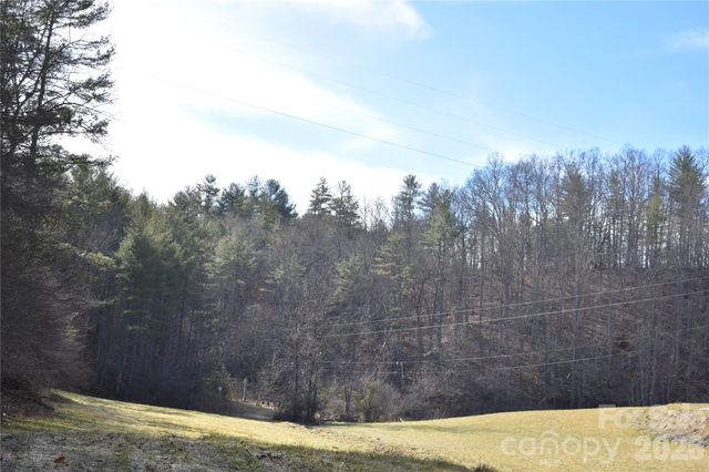 448 Sweetwater Road, Green Mountain, NC 28740