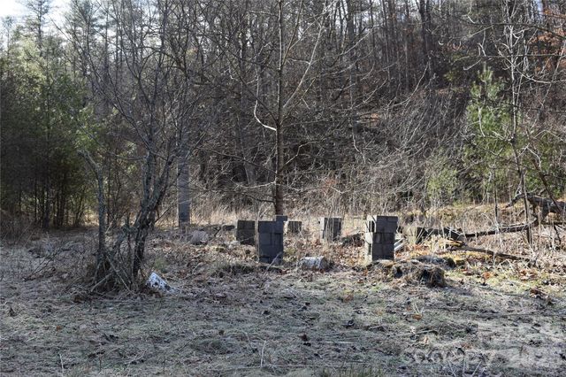 448 Sweetwater Road, Green Mountain, NC 28740