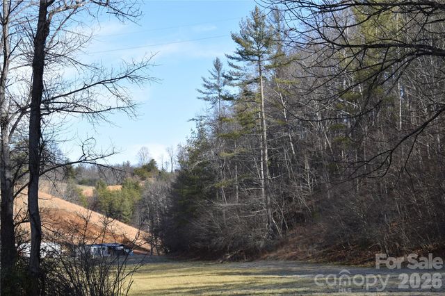 448 Sweetwater Road, Green Mountain, NC 28740