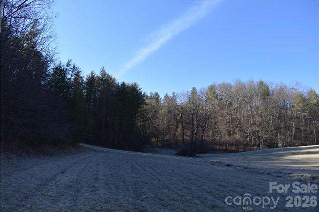 448 Sweetwater Road, Green Mountain, NC 28740