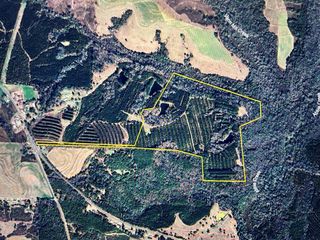 90+-ac State Hwy 95 (Columbia Rd), Abbeville, AL 36310