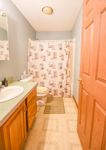 307 Railroad Street, Union City Vllg, MI 49094