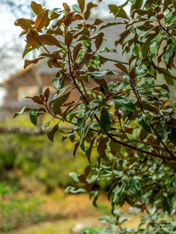 12 Bearden Avenue, Asheville, NC 28801