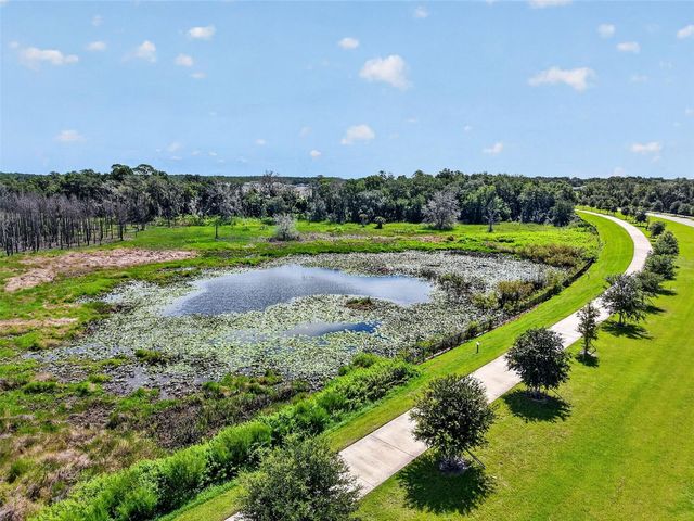 6061 CLAYSTONE WAY, Mount Dora, FL 32757