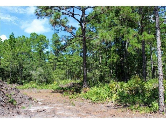 APRICOT AVENUE, Eustis, FL 32736