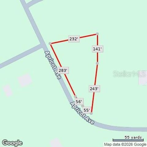 APRICOT AVENUE, Eustis, FL 32736