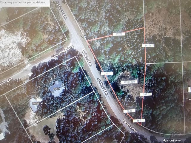 APRICOT AVENUE, Eustis, FL 32736