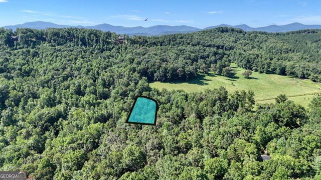 299 Craig Thompson Drive 22, Blairsville, GA 30512