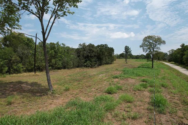 TBD CR 3470, Lovelady, TX 75851