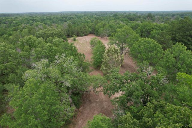 TBD CR 3470, Lovelady, TX 75851