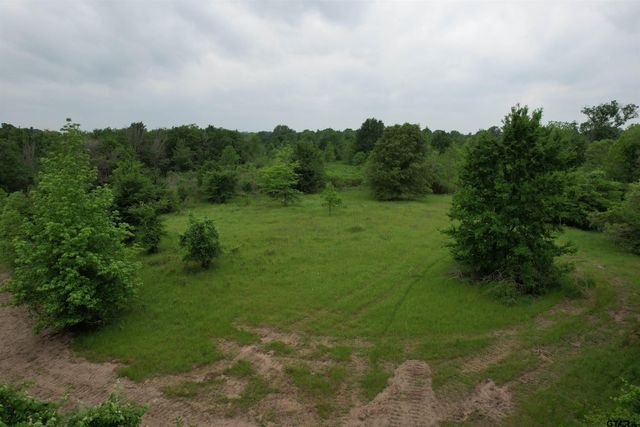 TBD CR 3470, Lovelady, TX 75851