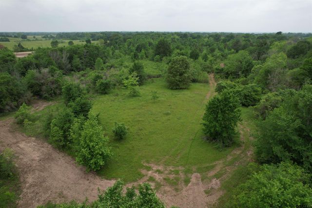 TBD CR 3470, Lovelady, TX 75851