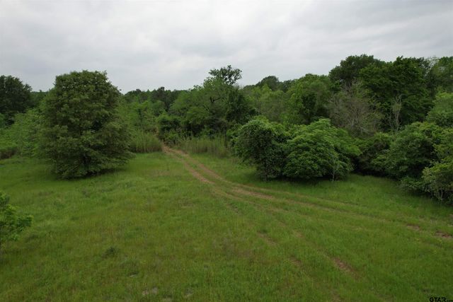 TBD CR 3470, Lovelady, TX 75851