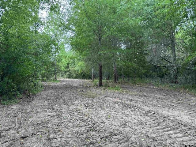 TBD CR 3470, Lovelady, TX 75851
