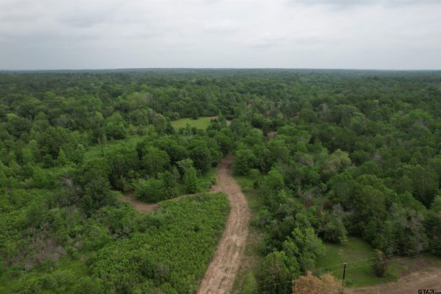 TBD CR 3470, Lovelady, TX 75851