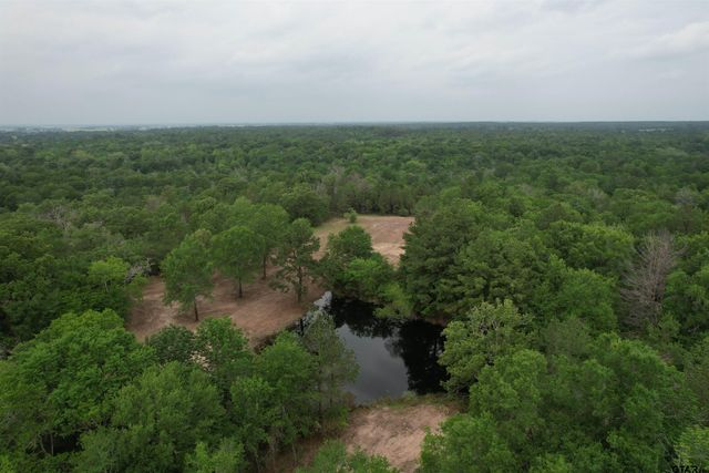 TBD CR 3470, Lovelady, TX 75851