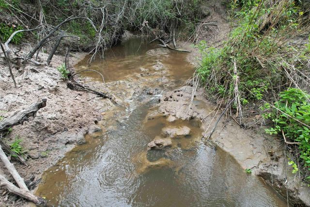 TBD CR 3470, Lovelady, TX 75851
