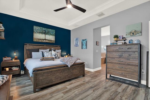 7217 BLUE BEECH DRIVE, Riverview, FL 33578