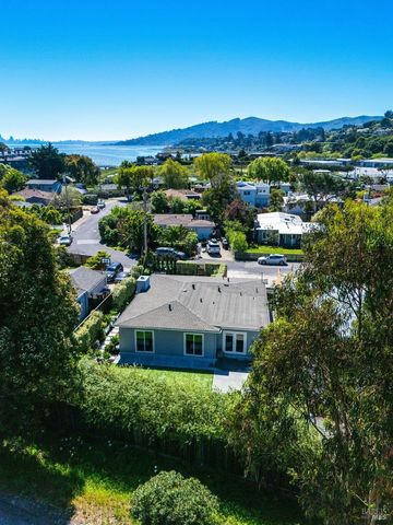 17 Strawberry Cir, Mill Valley, CA 94941