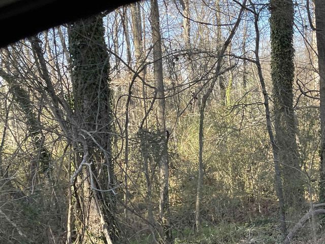3605 W Ten Road, Efland, NC 27243