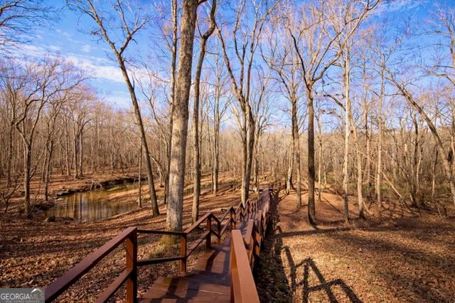 346 Rusty Lady Lane, Ellijay, GA 30536