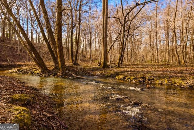 346 Rusty Lady Lane, Ellijay, GA 30536