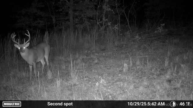 36895 W 91st Street S, Mannford, OK 74044