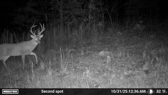 36895 W 91st Street S, Mannford, OK 74044