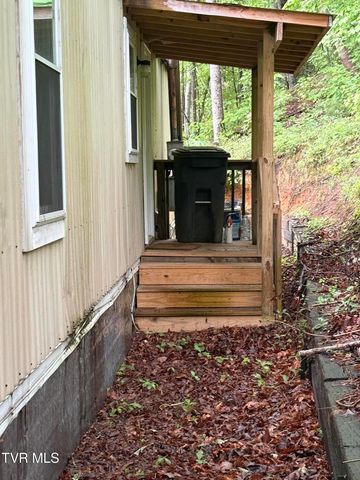 175 Union Chapel Road, Afton, TN 37616