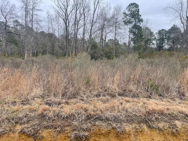 3137 Deer Creek Dr., Loris, SC 29569